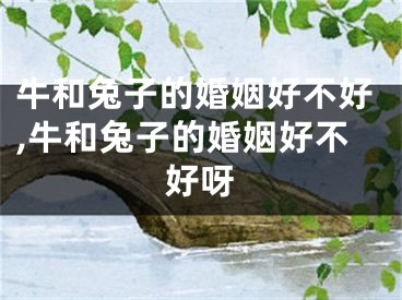 牛和兔子的婚姻好不好,牛和兔子的婚姻好不好呀