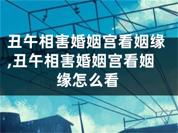 丑午相害婚姻宫看姻缘,丑午相害婚姻宫看姻缘怎么看