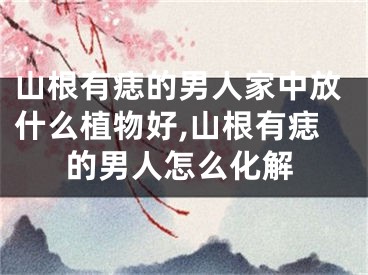 山根有痣的男人家中放什么植物好,山根有痣的男人怎么化解
