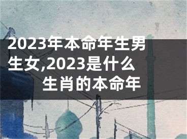 2023年本命年生男生女,2023是什么生肖的本命年