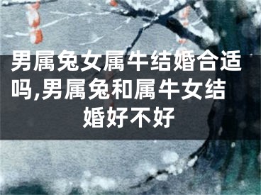 男属兔女属牛结婚合适吗,男属兔和属牛女结婚好不好