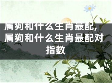 属狗和什么生肖最配,属狗和什么生肖最配对指数