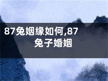 87兔姻缘如何,87兔子婚姻