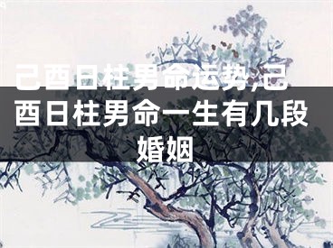 己酉日柱男命运势,己酉日柱男命一生有几段婚姻
