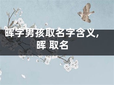 晖字男孩取名字含义,晖 取名
