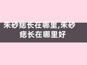 朱砂痣长在哪里,朱砂痣长在哪里好