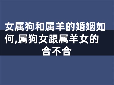 女属狗和属羊的婚姻如何,属狗女跟属羊女的合不合