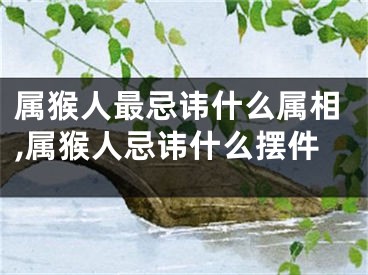 属猴人最忌讳什么属相,属猴人忌讳什么摆件