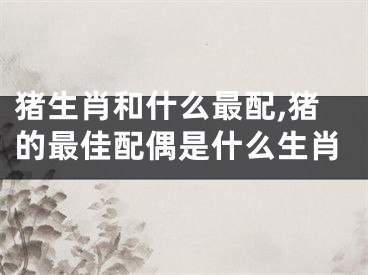 猪生肖和什么最配,猪的最佳配偶是什么生肖