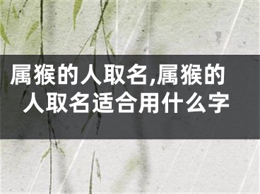 属猴的人取名,属猴的人取名适合用什么字