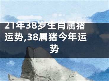 21年38岁生肖属猪运势,38属猪今年运势