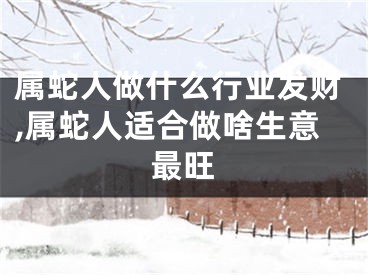 属蛇人做什么行业发财,属蛇人适合做啥生意最旺