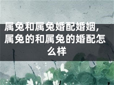 属兔和属兔婚配婚姻,属兔的和属兔的婚配怎么样
