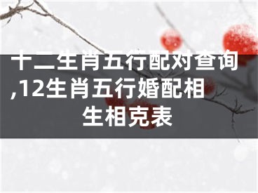 十二生肖五行配对查询,12生肖五行婚配相生相克表