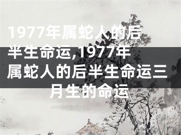1977年属蛇人的后半生命运,1977年属蛇人的后半生命运三月生的命运