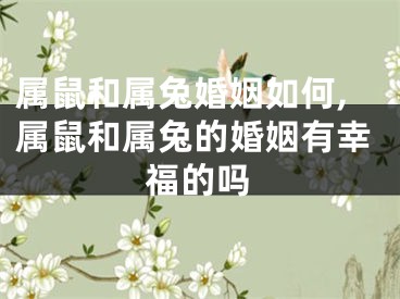 属鼠和属兔婚姻如何,属鼠和属兔的婚姻有幸福的吗