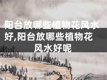 阳台放哪些植物花风水好,阳台放哪些植物花风水好呢