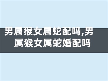 男属猴女属蛇配吗,男属猴女属蛇婚配吗