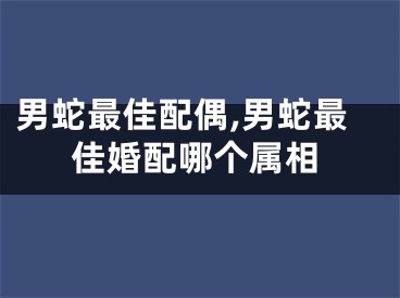 男蛇最佳配偶,男蛇最佳婚配哪个属相