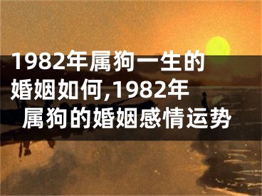 1982年属狗一生的婚姻如何,1982年属狗的婚姻感情运势