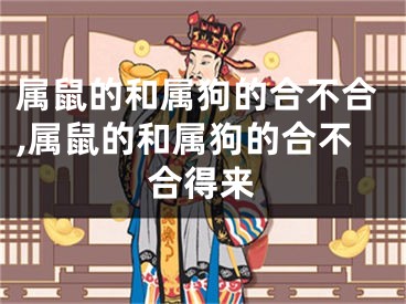 属鼠的和属狗的合不合,属鼠的和属狗的合不合得来