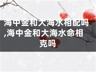 海中金和大海水相配吗,海中金和大海水命相克吗