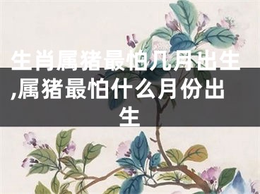 生肖属猪最怕几月出生,属猪最怕什么月份出生