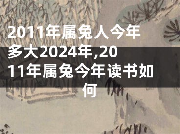 2011年属兔人今年多大2024年,2011年属兔今年读书如何