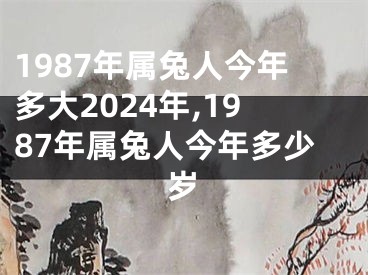 1987年属兔人今年多大2024年,1987年属兔人今年多少岁