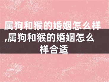 属狗和猴的婚姻怎么样,属狗和猴的婚姻怎么样合适