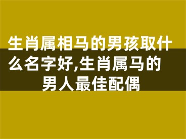 生肖属相马的男孩取什么名字好,生肖属马的男人最佳配偶