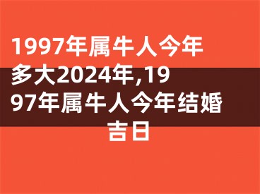 1997年属牛人今年多大2024年,1997年属牛人今年结婚吉日
