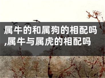 属牛的和属狗的相配吗,属牛与属虎的相配吗
