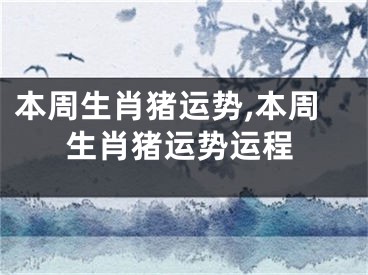 本周生肖猪运势,本周生肖猪运势运程