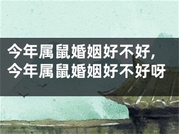 今年属鼠婚姻好不好,今年属鼠婚姻好不好呀