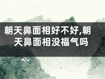 朝天鼻面相好不好,朝天鼻面相没福气吗