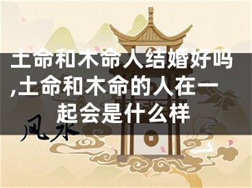 土命和木命人结婚好吗,土命和木命的人在一起会是什么样