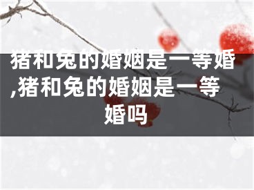猪和兔的婚姻是一等婚,猪和兔的婚姻是一等婚吗