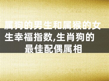 属狗的男生和属猴的女生幸福指数,生肖狗的最佳配偶属相