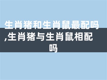 生肖猪和生肖鼠最配吗,生肖猪与生肖鼠相配吗