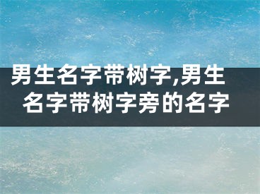 男生名字带树字,男生名字带树字旁的名字