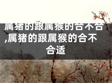 属猪的跟属猴的合不合,属猪的跟属猴的合不合适
