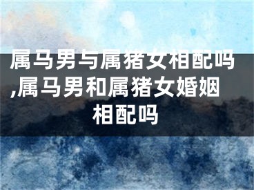 属马男与属猪女相配吗,属马男和属猪女婚姻相配吗