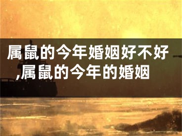 属鼠的今年婚姻好不好,属鼠的今年的婚姻
