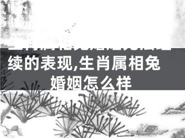 生肖属相兔婚姻无法继续的表现,生肖属相兔婚姻怎么样