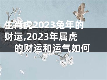 生肖虎2023兔年的财运,2023年属虎的财运和运气如何