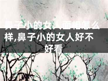 鼻子小的女人面相怎么样,鼻子小的女人好不好看
