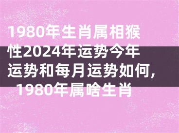 1980年生肖属相猴性2024年运势今年运势和每月运势如何,1980年属啥生肖