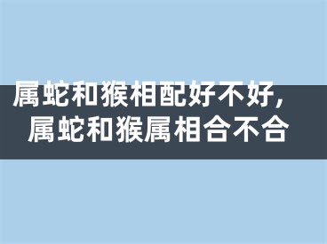 属蛇和猴相配好不好,属蛇和猴属相合不合