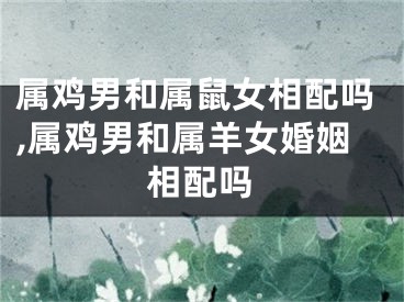 属鸡男和属鼠女相配吗,属鸡男和属羊女婚姻相配吗